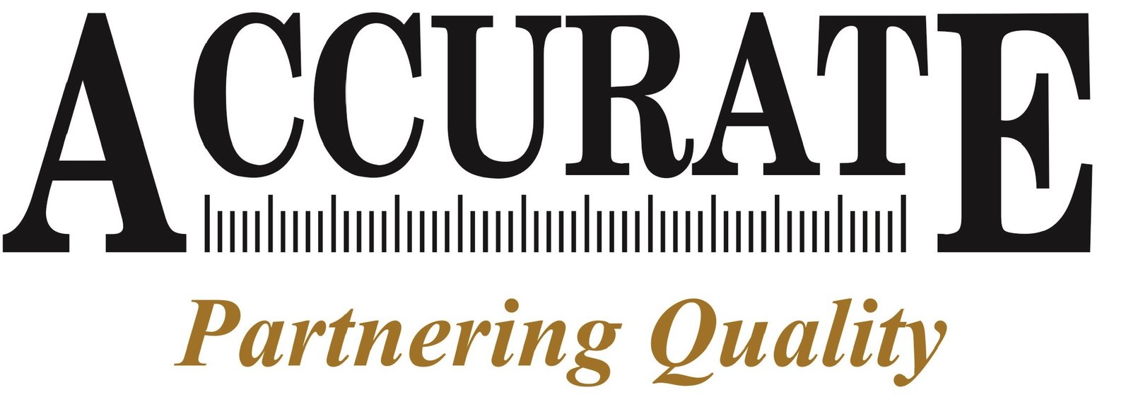 ACCURATE SALES & SERVICES PRIVATE LIMITED logo