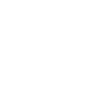 Emag India Pvt Ltd Logo